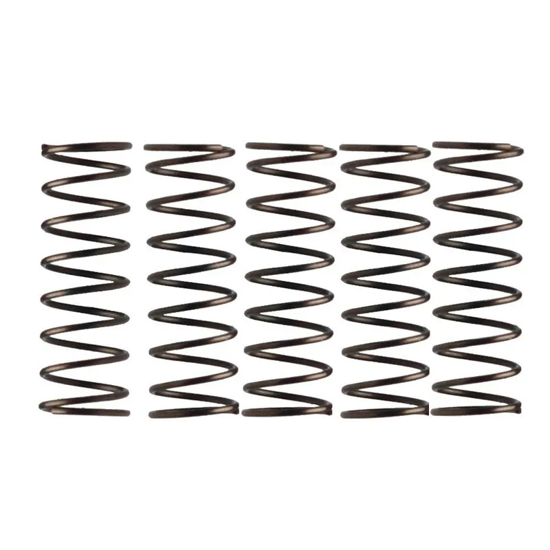 Campagnolo Low End Pre-2004 Pawl Spring in Silver