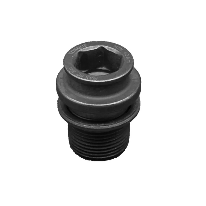 Campagnolo Replacement Crank Fixing Bolt in Black-3